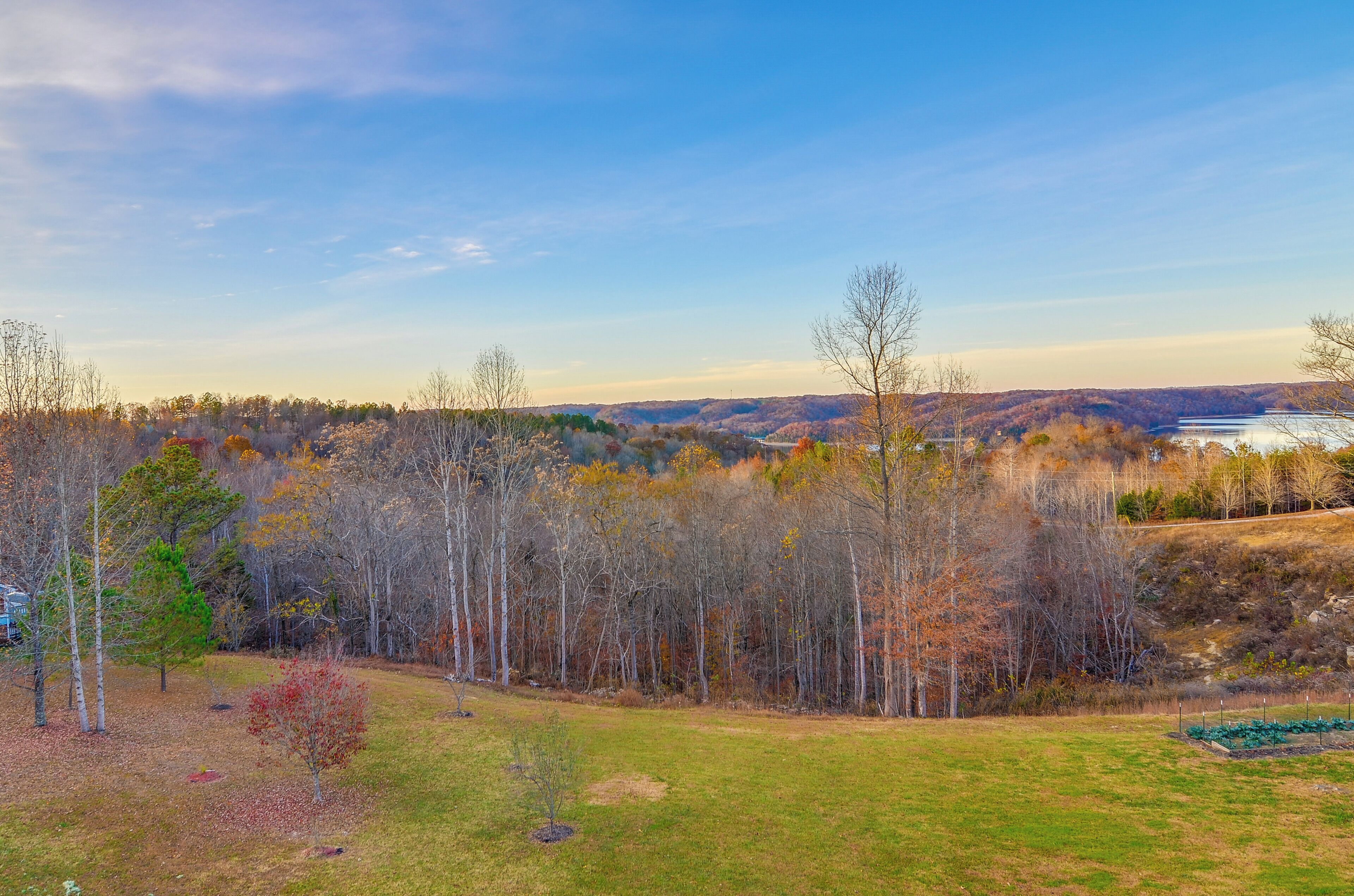 A landscape view with a grassy field, trees, and a distant lake.