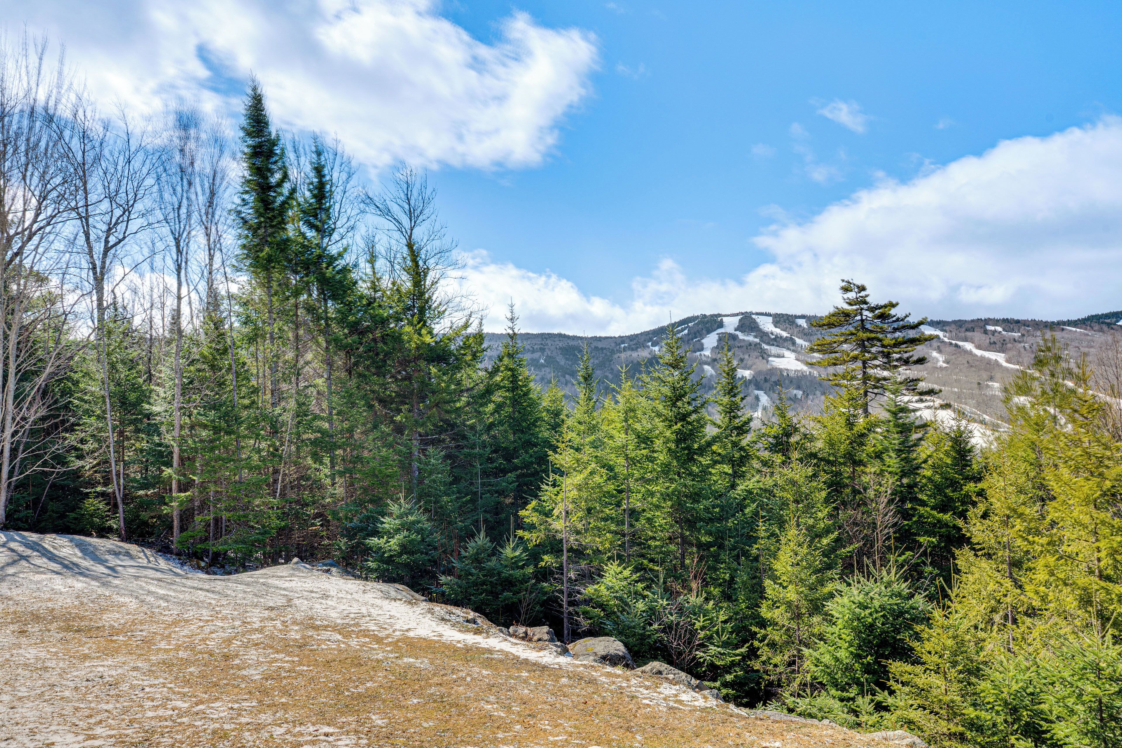 A mountainous landscape with dense coniferous forest and a clear sky.