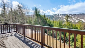 Um deck de madeira com guarda-corpo de metal, com vista para uma paisagem montanhosa com árvores e céu claro.