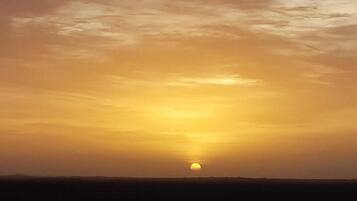 Outdoor wedding area