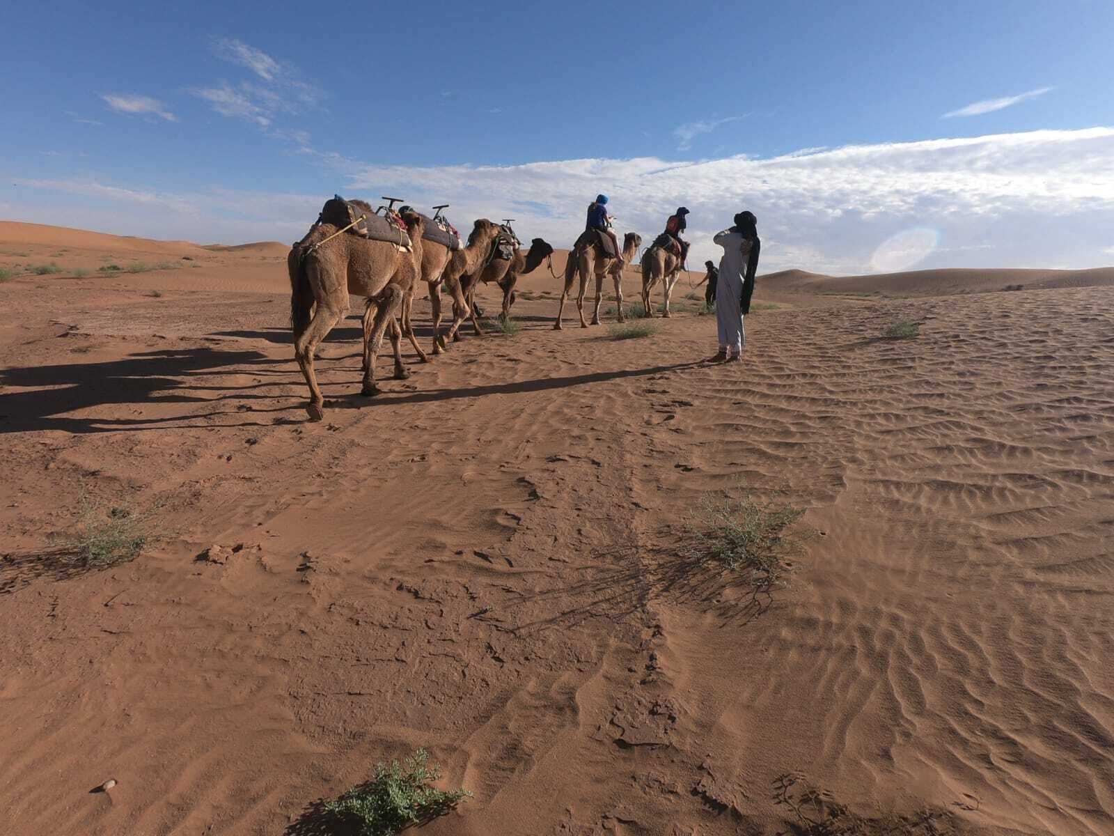 A desert landscape with camels and riders.
