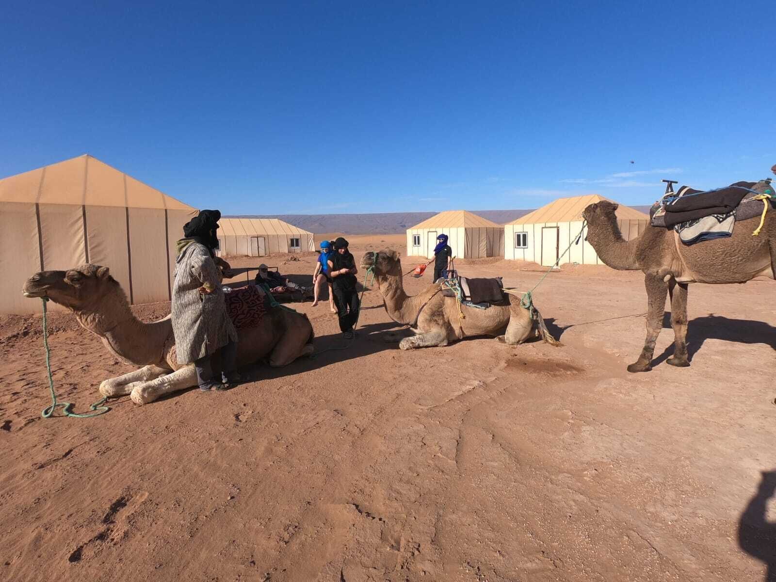 Ecotours