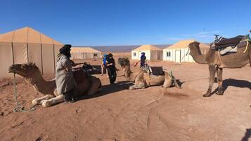 Ecotours