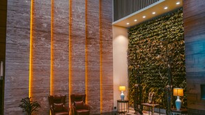 A lobby with a marble wall, two leather chairs, a small table with a lamp, and a wall of greenery. - HOTEL AVINASH INTERNATIONAL (Jagdalpur)
