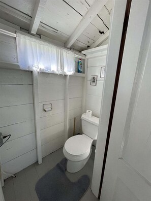 A small, compact bathroom with a toilet, a shelf with cleaning supplies, and a framed picture on the wall. - Trainor Camp Limit 4 2 Bedroom Cabin (Sebago)