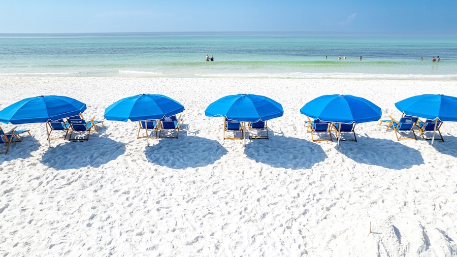 Islander Beach Resort 407 1 Bedroom Condo