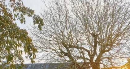 Charmant appartement cosy au cĆur de Beauquesne â parfait pour deux