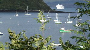Un puerto con varios veleros y un gran crucero al fondo.