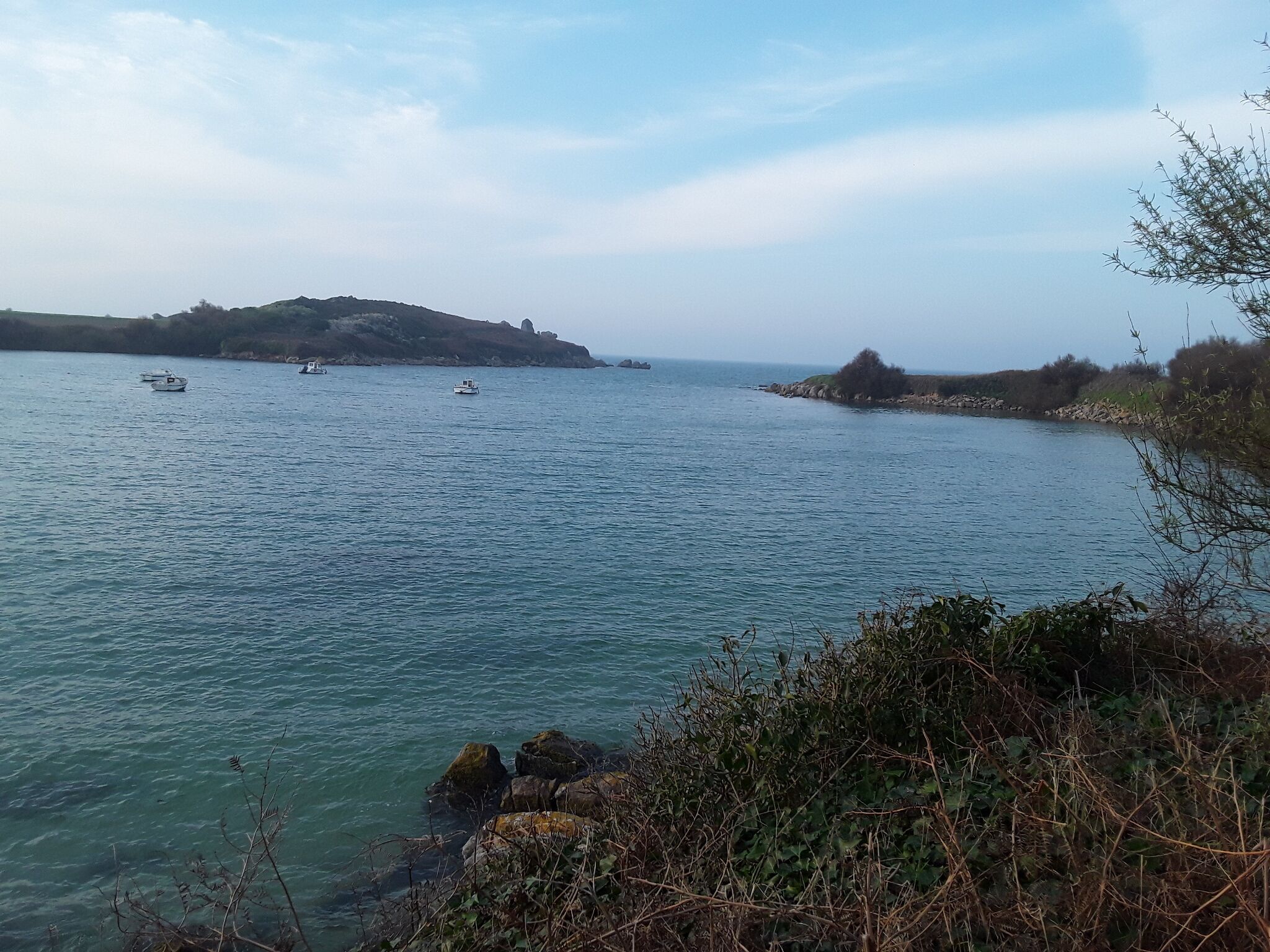 A coastal landscape with calm water, rocky outcrops, and distant hills.