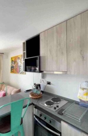 Private kitchen - Apartment with Terrace and River View in Downtown Valdivia (Valdivia, Los Ríos)