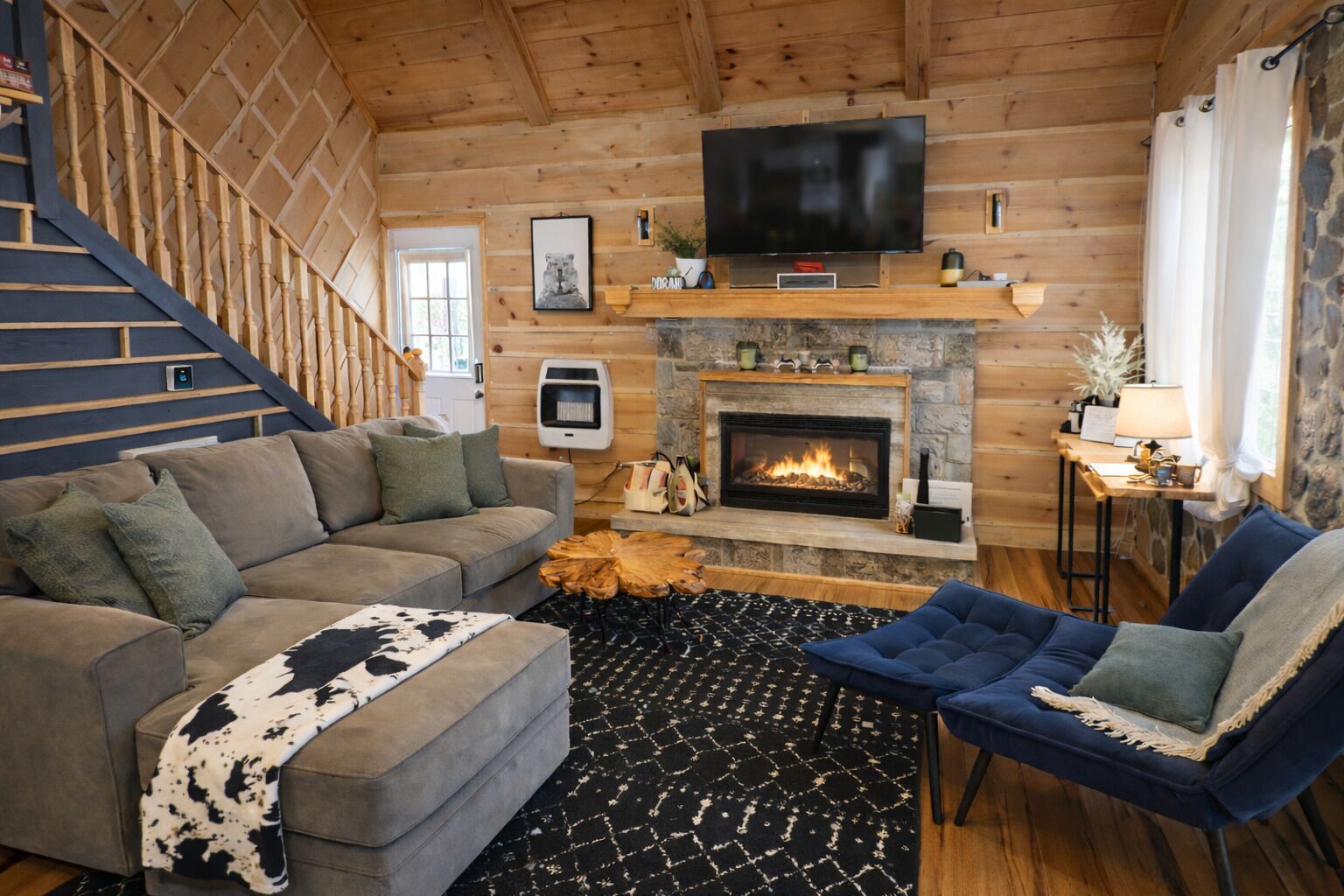Smart TV, fireplace, books
