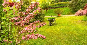 Een tuin met een kruiwagen, weelderige begroeiing en bloeiende planten.