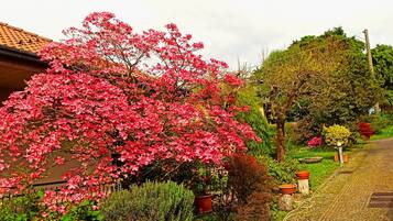 Overnattingsstedets uteområder