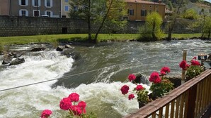 En flod med strømhvirvler, et trægelænder og lyserøde blomster.