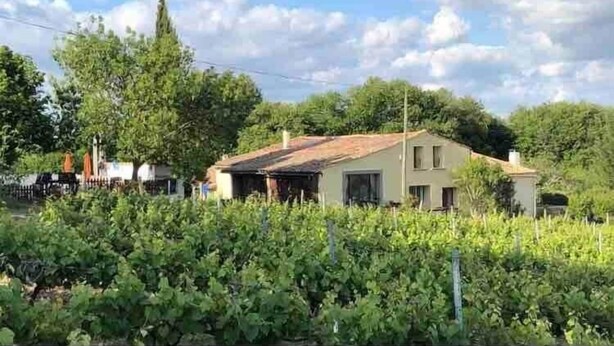 A two-story building with a sloped roof, surrounded by a vineyard. - La Maison Tourouzelle (Lauraguel)