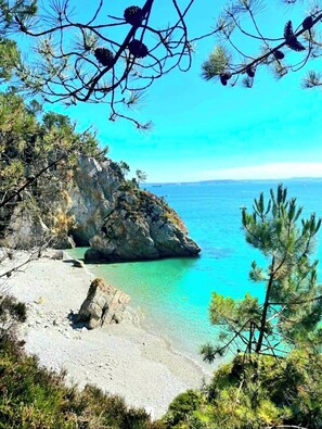 Eine Küstenlandschaft mit felsigen Klippen, klarem türkisblauem Wasser und Kiefern.