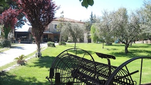 A garden with a metal bench, a house in the background, and a clear sky.