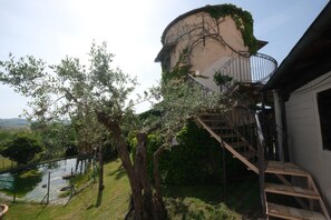 Property grounds - La collinetta  (Manoppello Scalo)