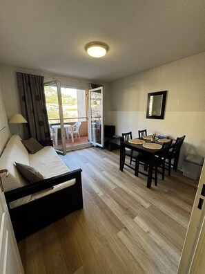 TV - Charming apartment for 4 people with a balcony (Grasse)