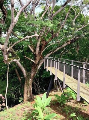 A wooden bridge with metal railings in a forested area.
