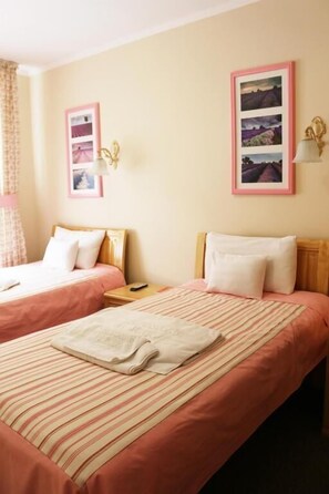 Twin Room - VitaPark Sunny Provence (Sataniv)