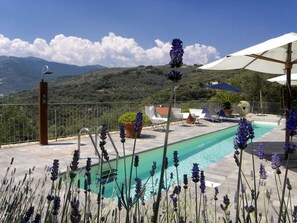 Pool - Cozy apartment "Il Mulino" in a complex with garden and swimming pool (Civezza)
