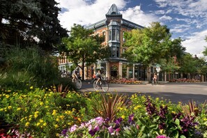 Miscellaneous - Little Luxe Retreat | Walk to CSU, Private Hot Tub (Fort Collins)