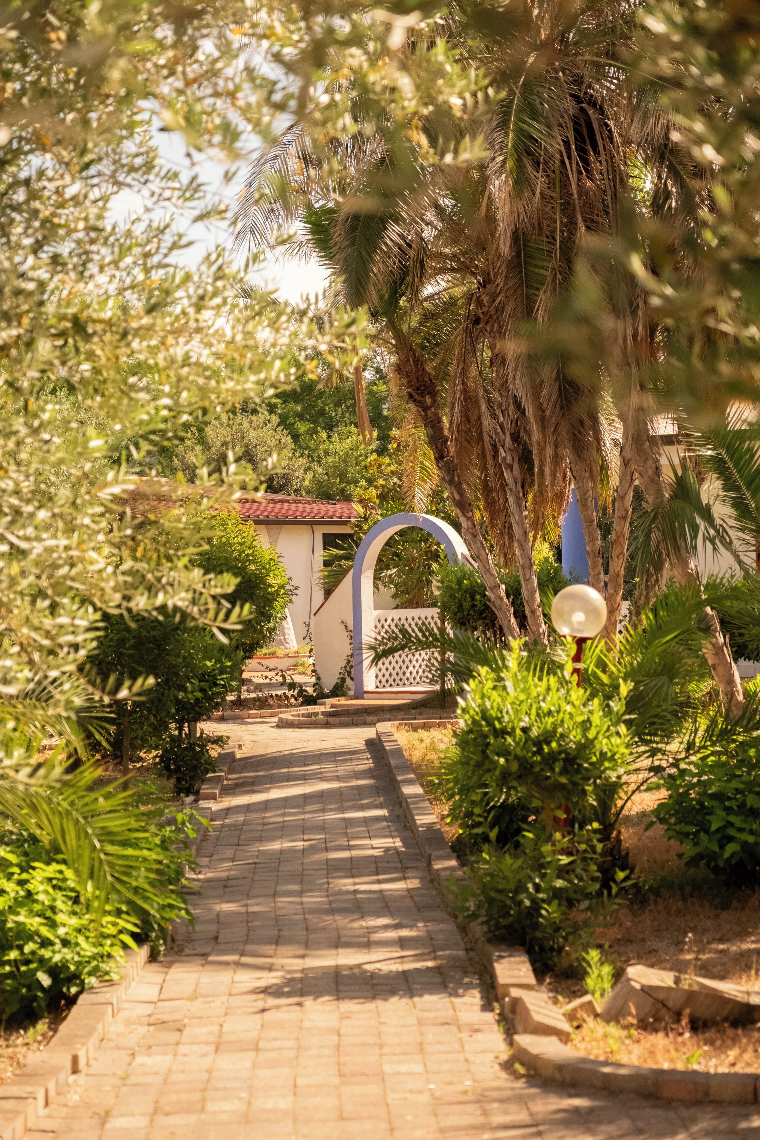 Un sendero pavimentado que conduce a un edificio con un arco azul, rodeado de abundante vegetación y palmeras.
