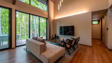 Televisión y chimenea