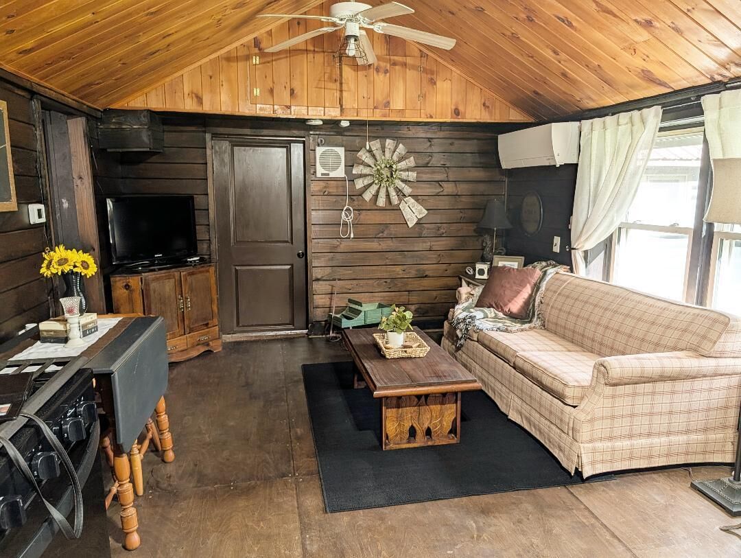 Smart TV, fireplace, DVD player, books