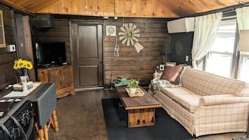 Smart TV, fireplace, DVD player, books