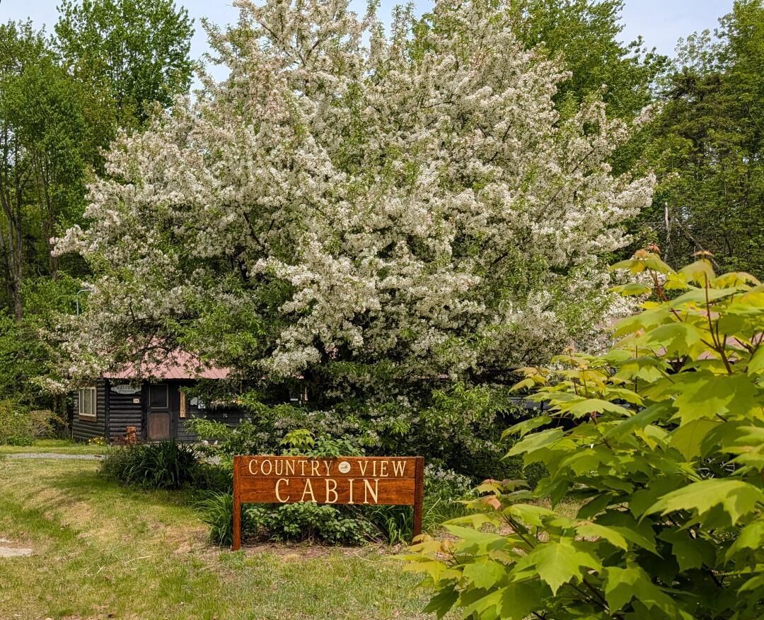 Boendeområde