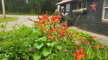 DĂ©tail de lâextĂ©rieur