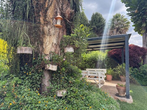 Budget Double Room Mt Pleasant Heights - 2379
