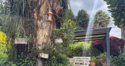 Budget Double Room Mt Pleasant Heights - 2379