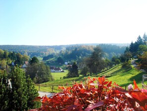 Property grounds - Vacation apartment Haus Sommerberg in the southern Odenwald (Oberzent)