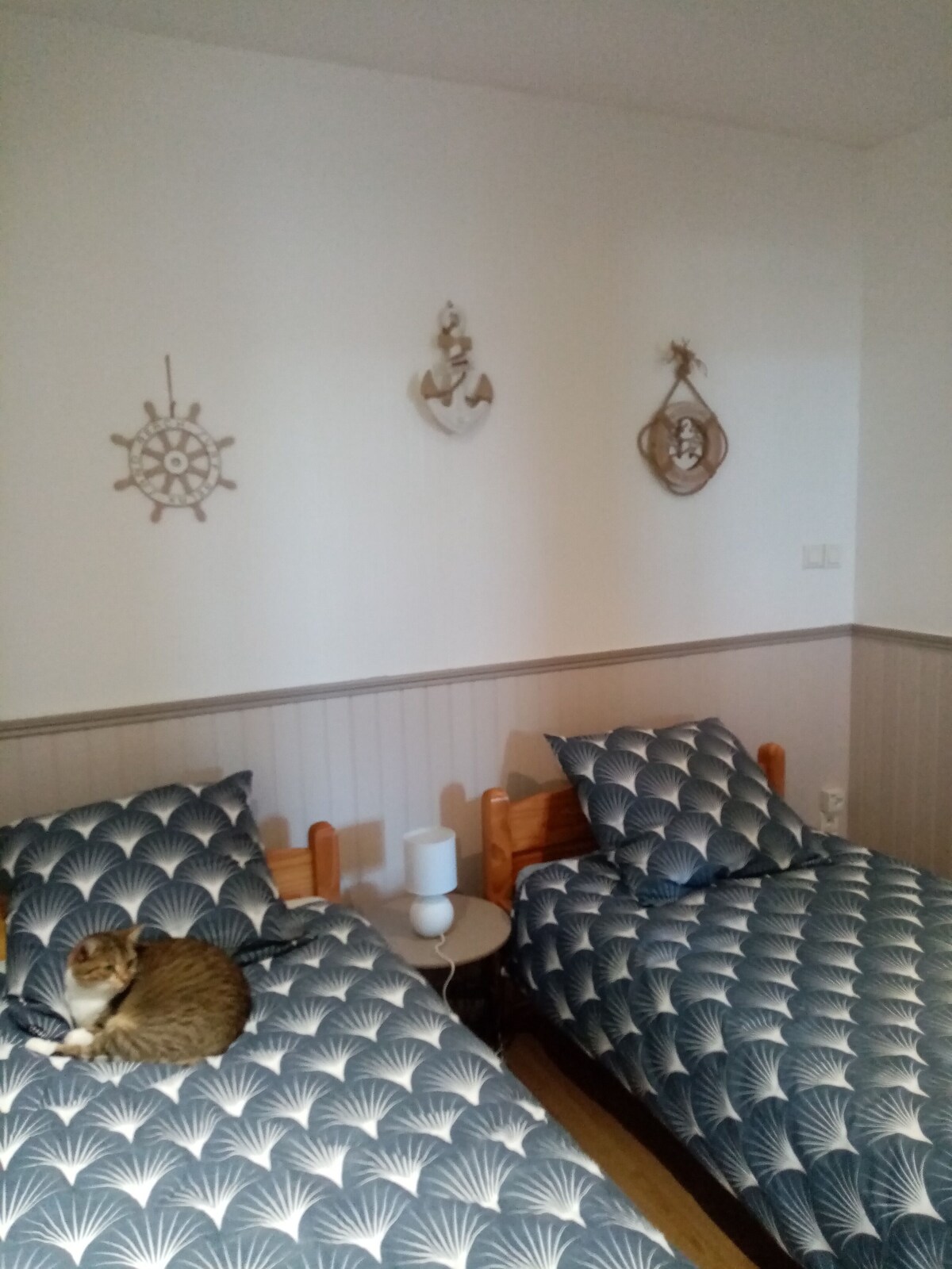 Imagen de perfil del propietario o de la propietaria