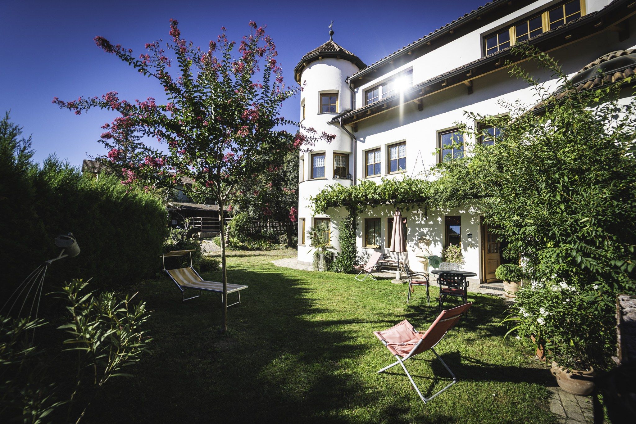 A well-maintained garden with a lawn, a small tree, and a gazebo.