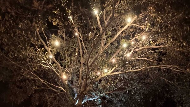 Uma fogueira com chamas, cercada por um muro de pedra, e uma árvore com luzes ao fundo.