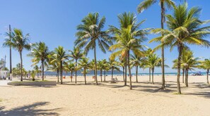 A beach with palm trees and a clear sky. - Apto em Praia Grande Frente a Praia da Guilhermina (Praia Grande)