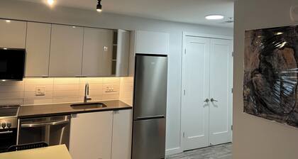 Charming Studio with all amenities in downtown Silver Spring