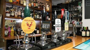 Zona de bar con múltiples grifos identificados con distintas marcas de cerveza.