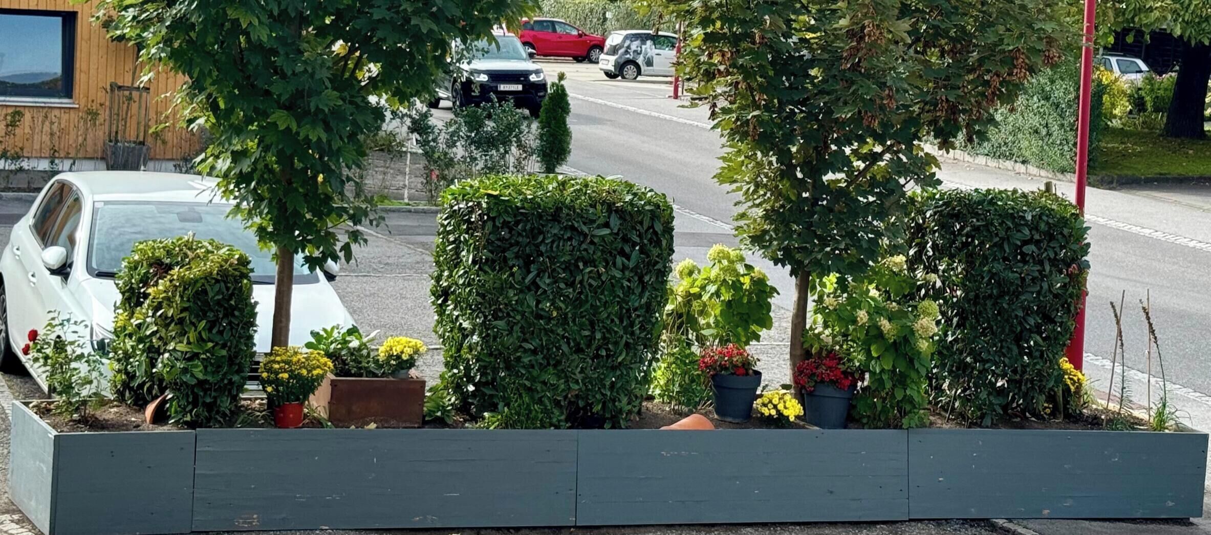 Park view