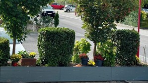 A street view with parked cars, a white car in the foreground, and a row of neatly trimmed hedges and potted plants. - Hotel Pension Löwen nahe Feldkirch - günstige Zimmer für Urlauber, Firmen und Monteure (Sulz)