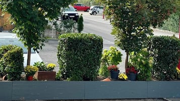 Park view