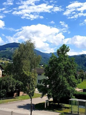 Miscellaneous - Hotel Pension Löwen Sulz (Sulz)