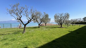 Ein Park mit Rasenflächen, Bäumen und Bänken, einem klaren Himmel und einem Gewässer im Hintergrund.