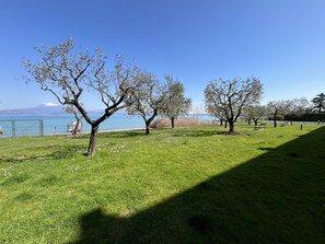 Ein Park mit Rasenflächen, Bäumen und Bänken, einem klaren Himmel und einem Gewässer im Hintergrund.