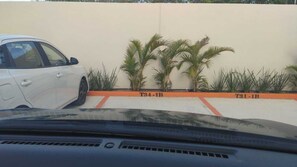 Property grounds - Ground Floor Apartment in Ombú Residential Cancun (Cancún)