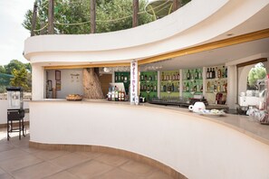 Bar (en la propiedad)